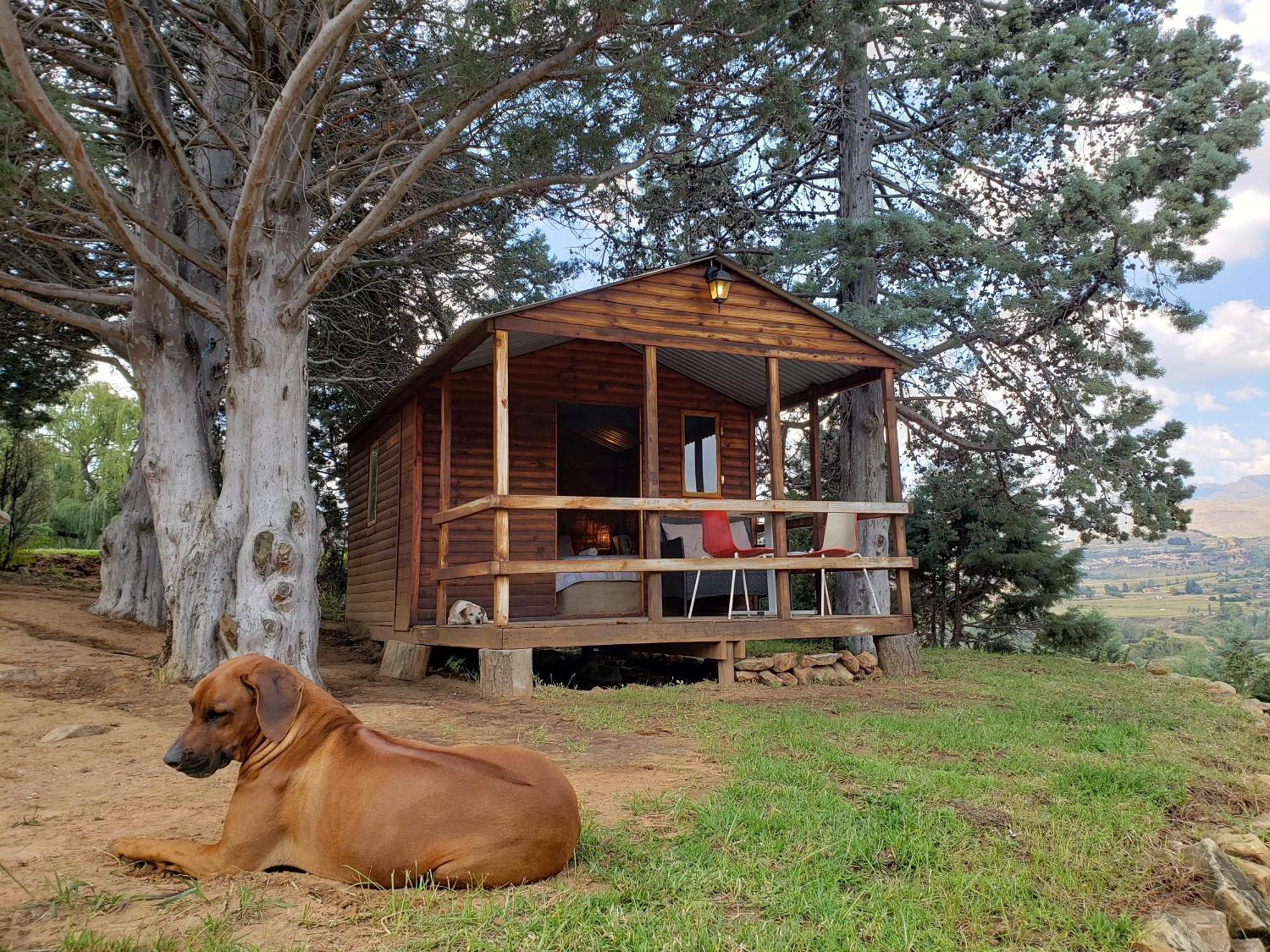 Old Mill Drift Guest Farm Clarens Exterior foto